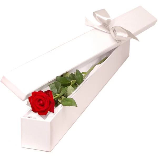 باکس گل روز معلم