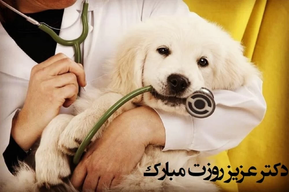 تبریک روز دامپزشک به خواهر و برادر