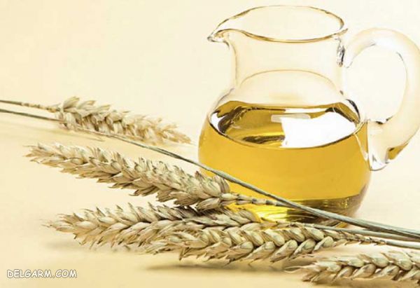 روغن جوانه گندم/کالری روغن جوانه گندم/ارزش غذایی روغن جوانه گندم/خواص روغن جوانه گندم/روغن/کالری روغن/ارزش غذایی روغن/خواص روغن