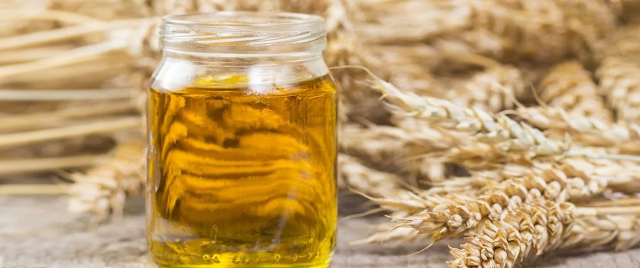 آشنایی با ارزش غذایی و خواص بینظیر روغن جوانه گندم