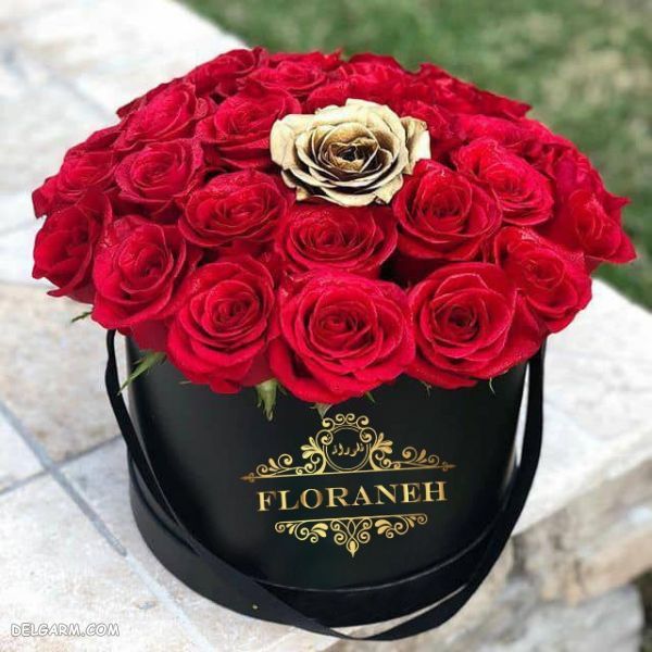 دسته گل تولد/دسته گل عروسی/دسته گل خواستگاری/دسته گل ملاقات بیمار/دسته گل تشکر/دست گل هدیه روز زن/دسته گل هدیه روز مرد/دسته گل هدیه روز معلم/دسته گل مناسبتی/دسته گل برای مناسبت های خاص