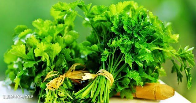 سبزی اشکنه چیست/سبزی مخصوص اشکنه
