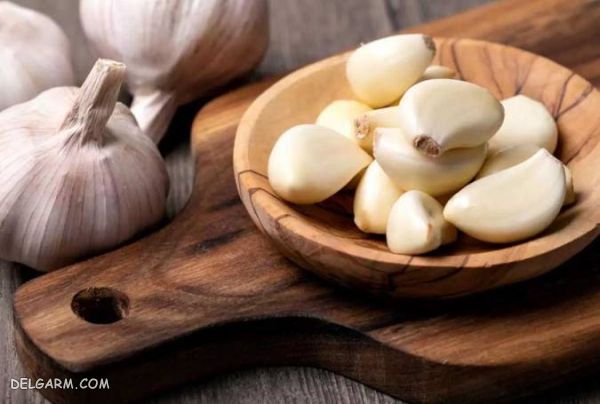 خواص گیاهان ریشه ای