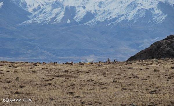 سیزده بدر در کرمان کجا بریم