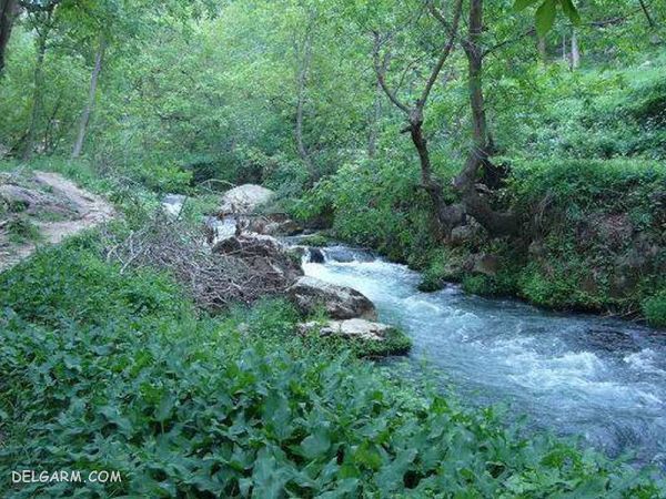 جاهای سرسبز کرمان برای سیزده بدر