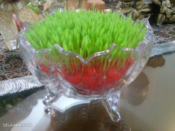 سبزه عید یک هفته ای