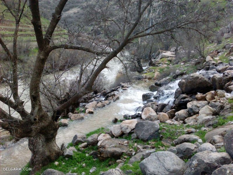 چشمه های سروآباد