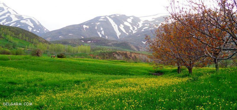 هواشناسی شهر اشنویه