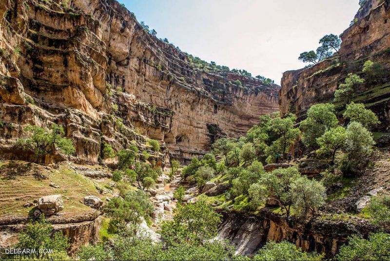 طبیعت شهر کوهدشت