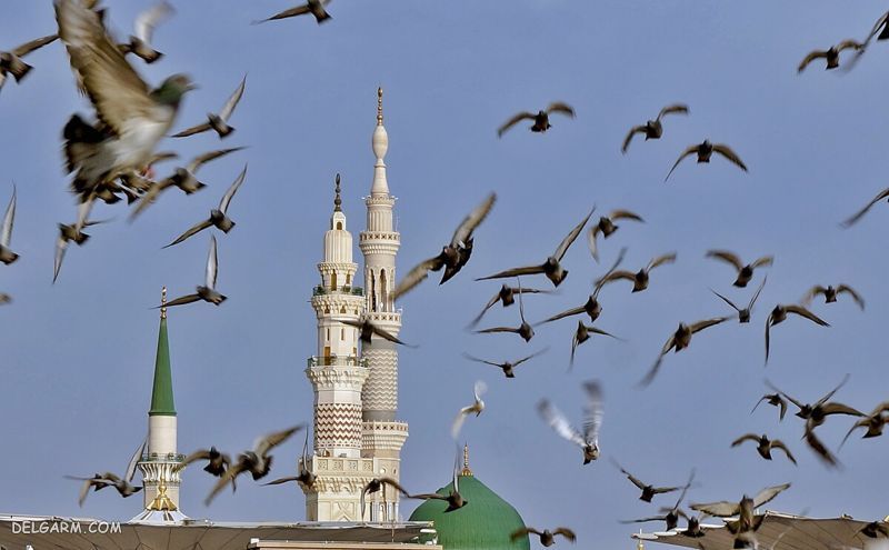 عکس مسجد النبی نمای بیرونی