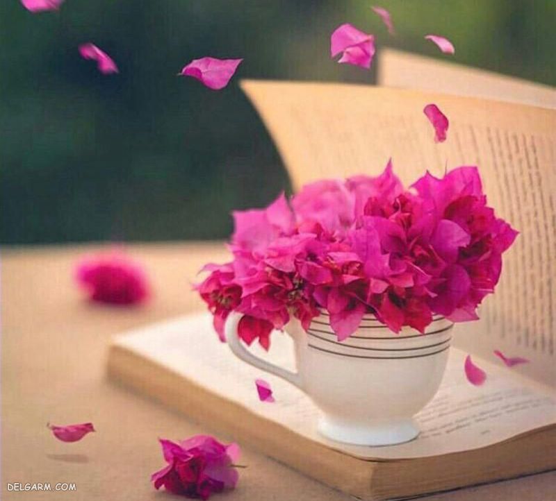 عکس کتاب فانتزی