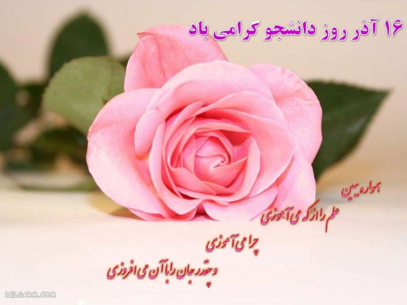 عکس روز دانشجو برای اینستاگرام