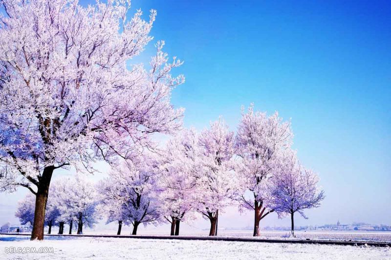 جمله احساسی زمستانی