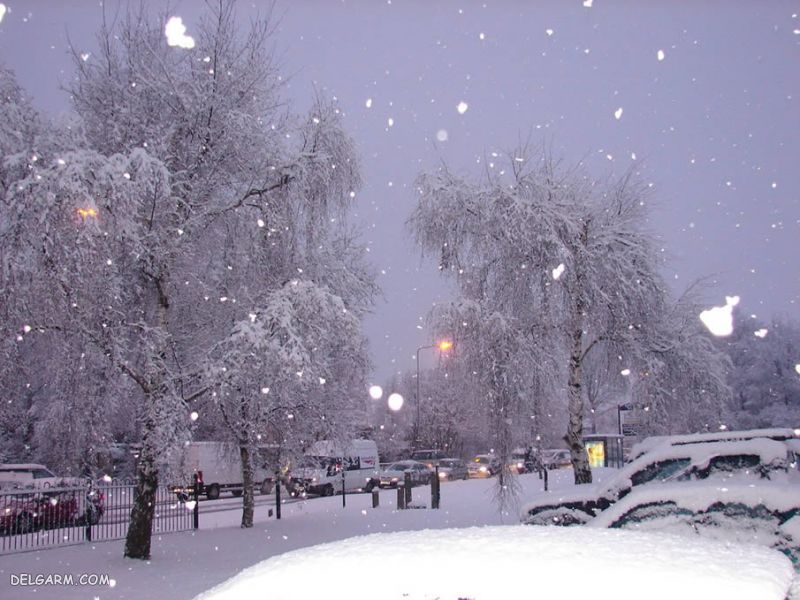  عکس زمستانی