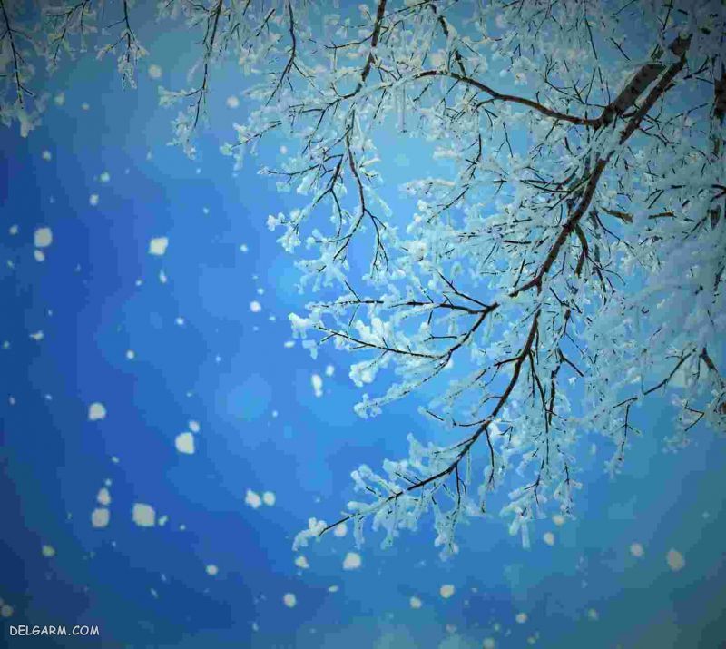 تصاویر زمستانی طبیعت