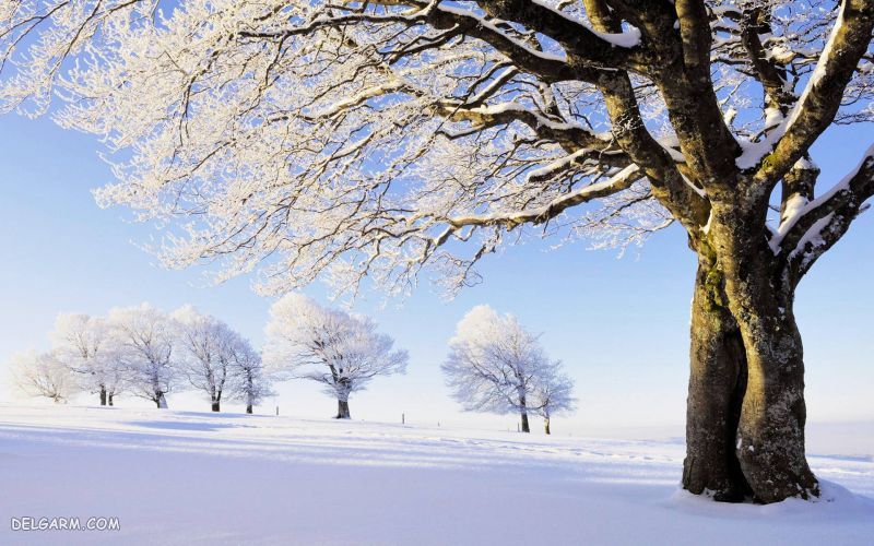 تصاویر زمستانی طبیعت