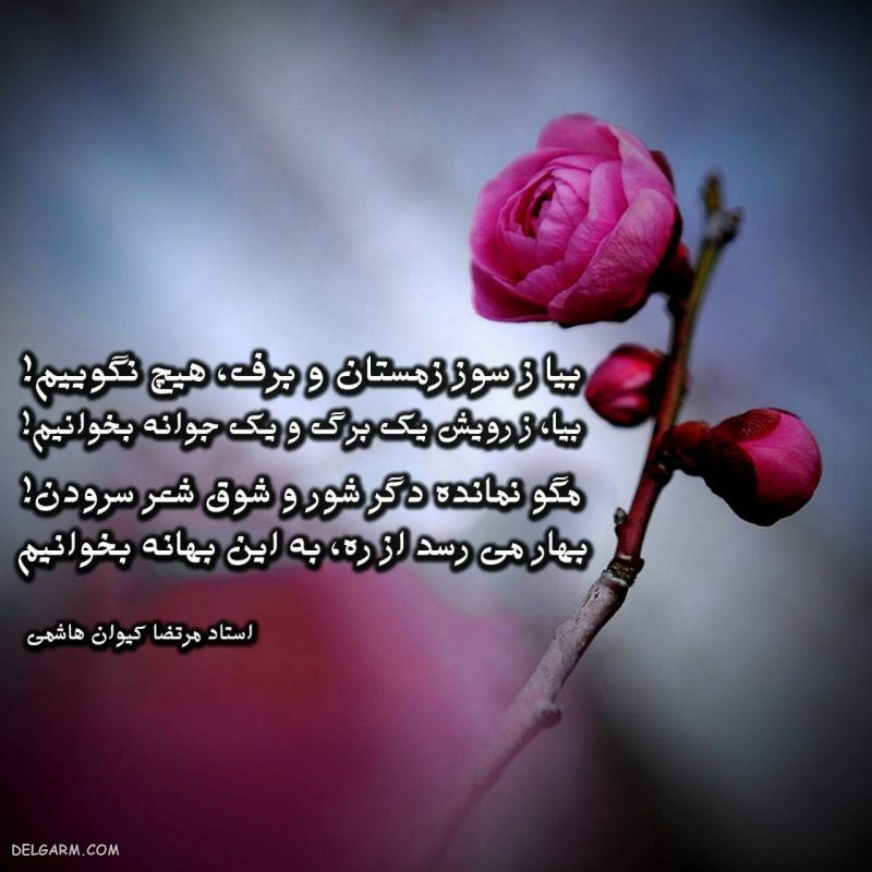 عکس زیبای زمستان