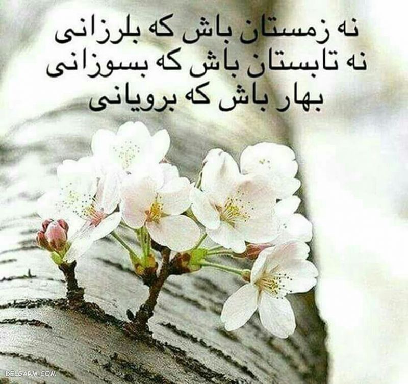 عکس نوشته زمستان