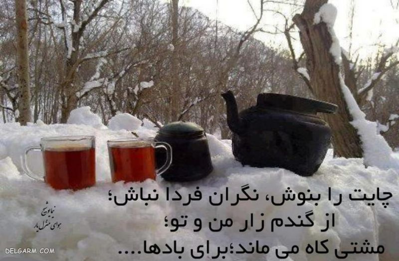 عکس برفی