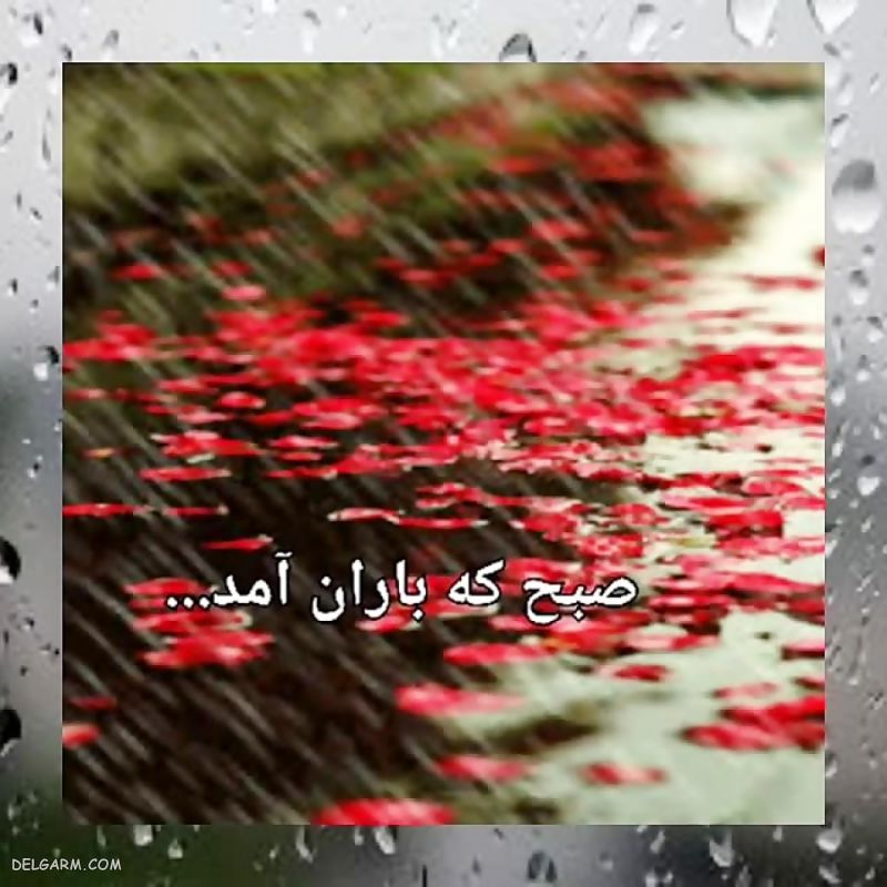پیام ادبی صبح بخیر بارونی