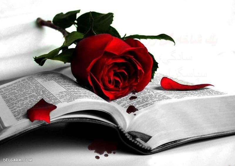  تصویر زمینه لپ تاپ دخترانه فانتزی