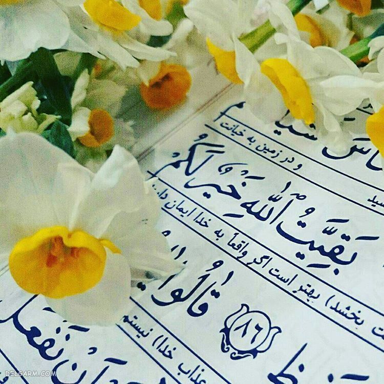 عکس قرآن کریم زیبا