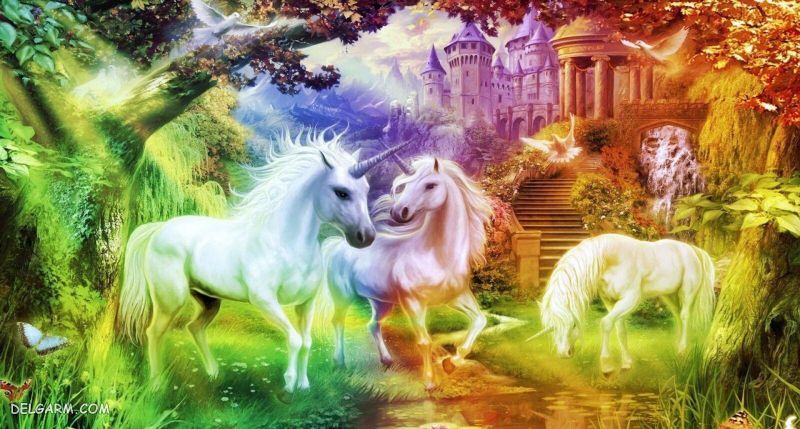 عکس تک شاخ اکلیلی