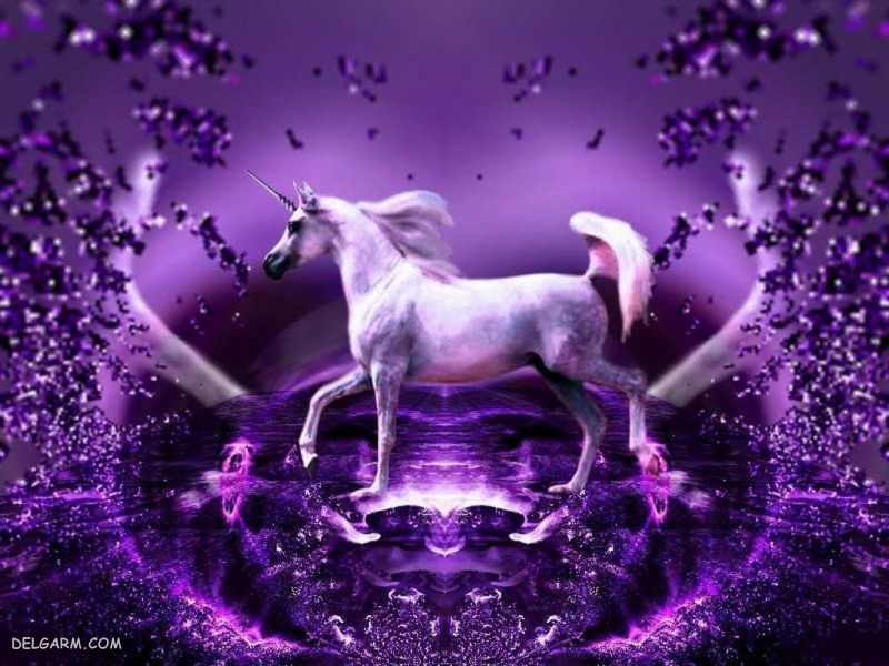  عکس کارتونی اسب تک شاخ