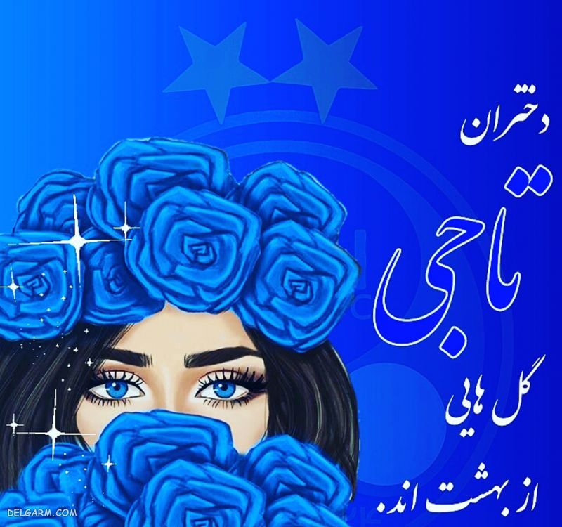 عکس استقلال برای استوری