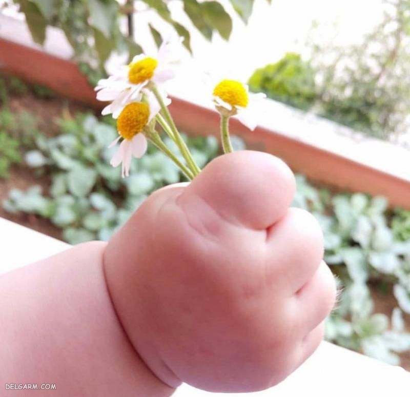 عکس دست خوشگل