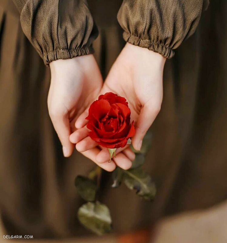 عکس دست خوشگل