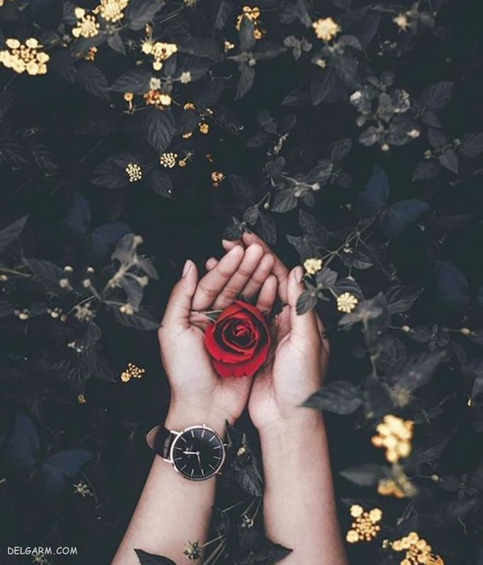 عکس دست خوشگل