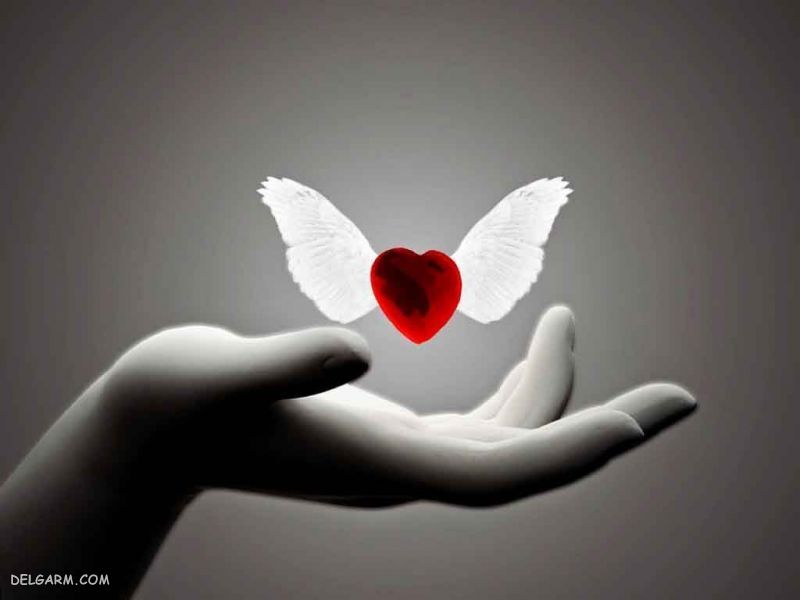 عکس دست خوشگل