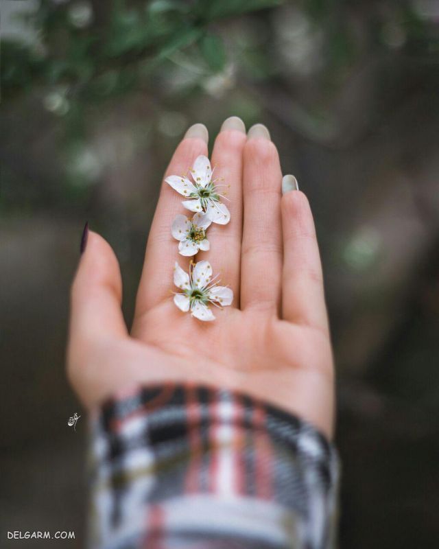 عکس دست خوشگل