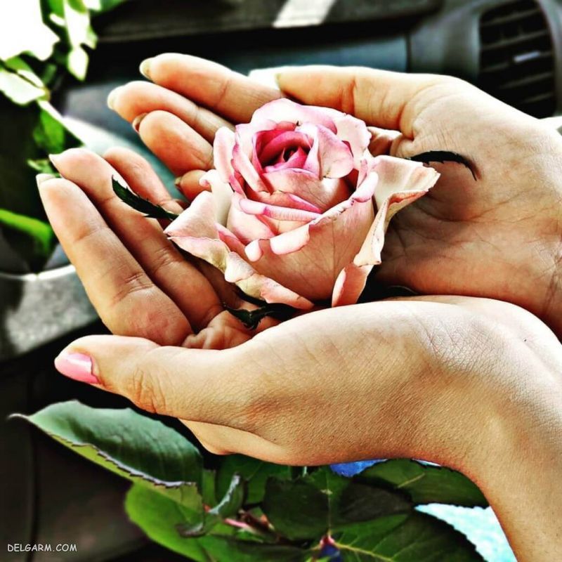 عکس دست خوشگل