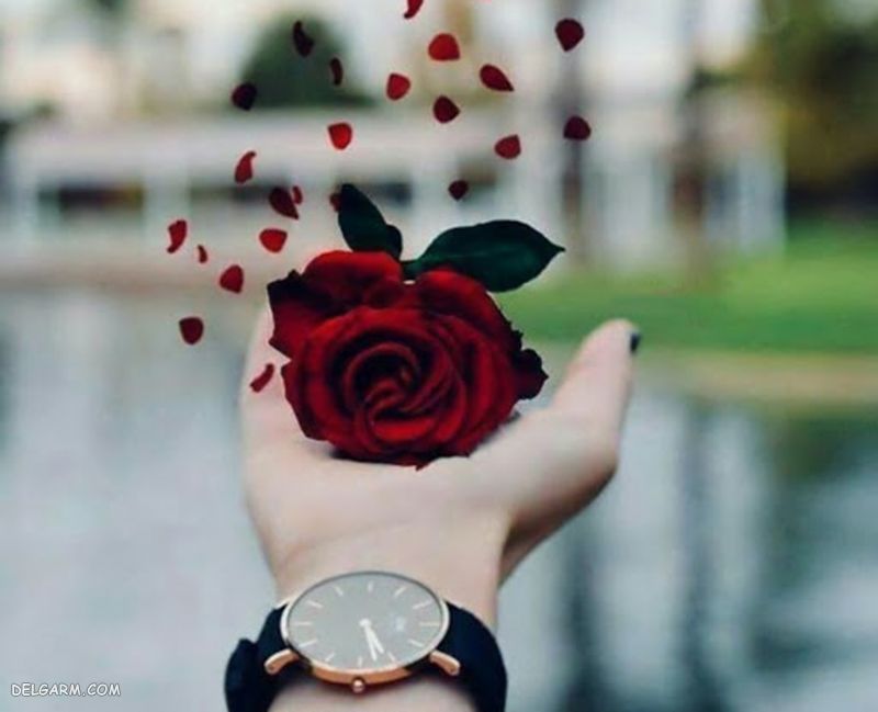 عکس دست خوشگل