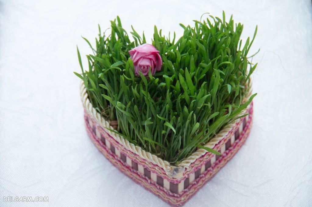 عکس فانتزی سبزه هفت سین