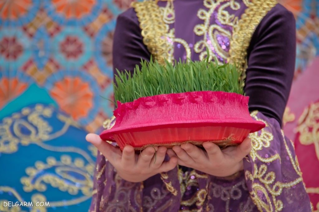 عحکس سبزه برای هفت سین