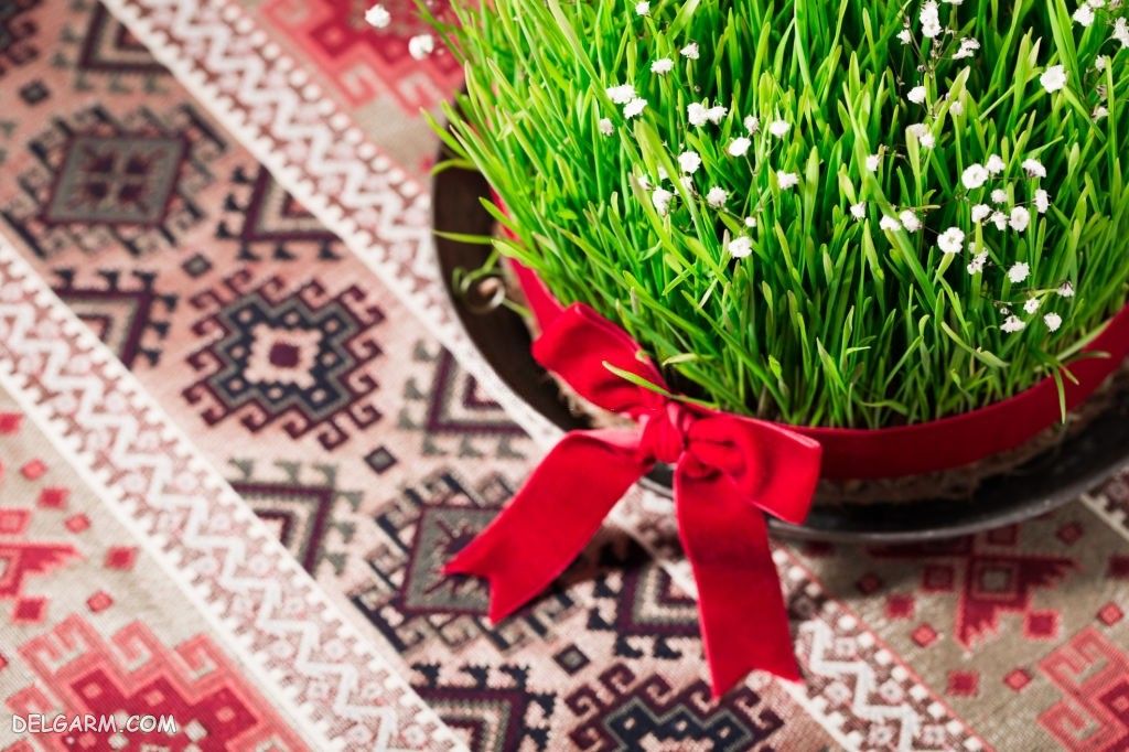سبزه سفره هفت سین