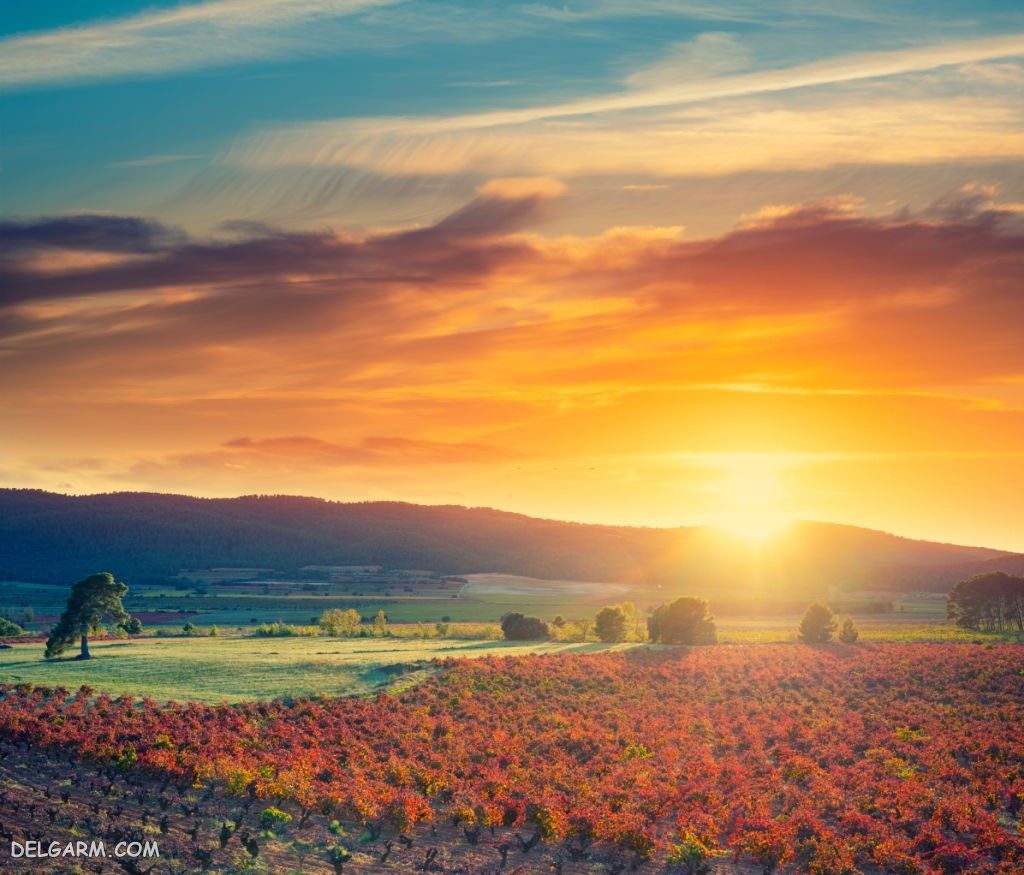 عکس طلوع خورشید طبیعی