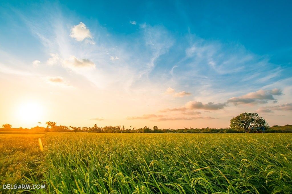 عکس طلوع خورشید طبیعی