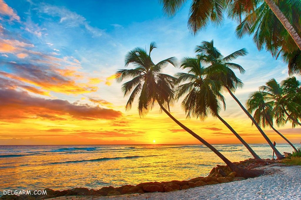 عکس طلوع خورشید طبیعی