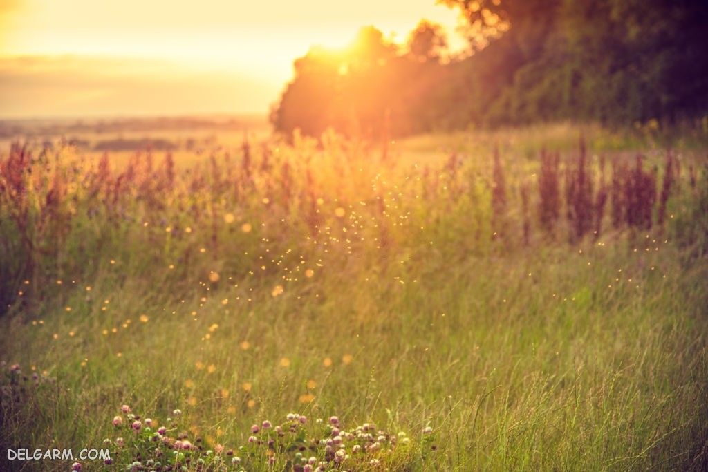 عکس طلوع خورشید طبیعی