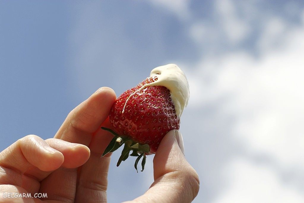  عکس توت فرنگی پینترستی