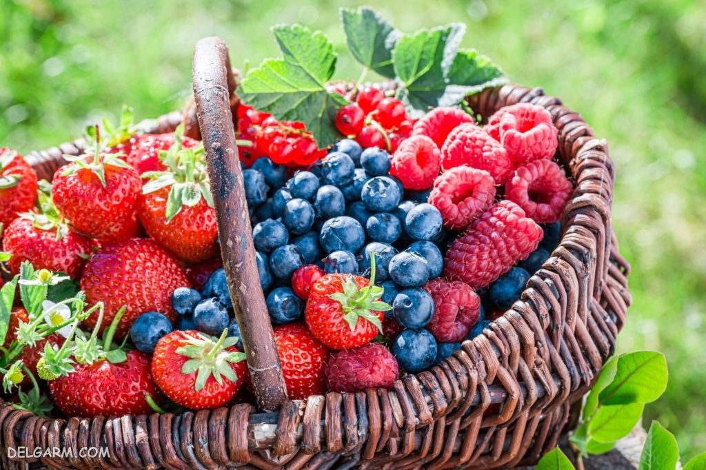 عکس توت فرنگی پینترستی