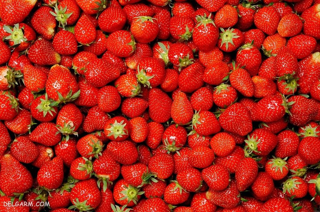  عکس توت فرنگی پینترستی