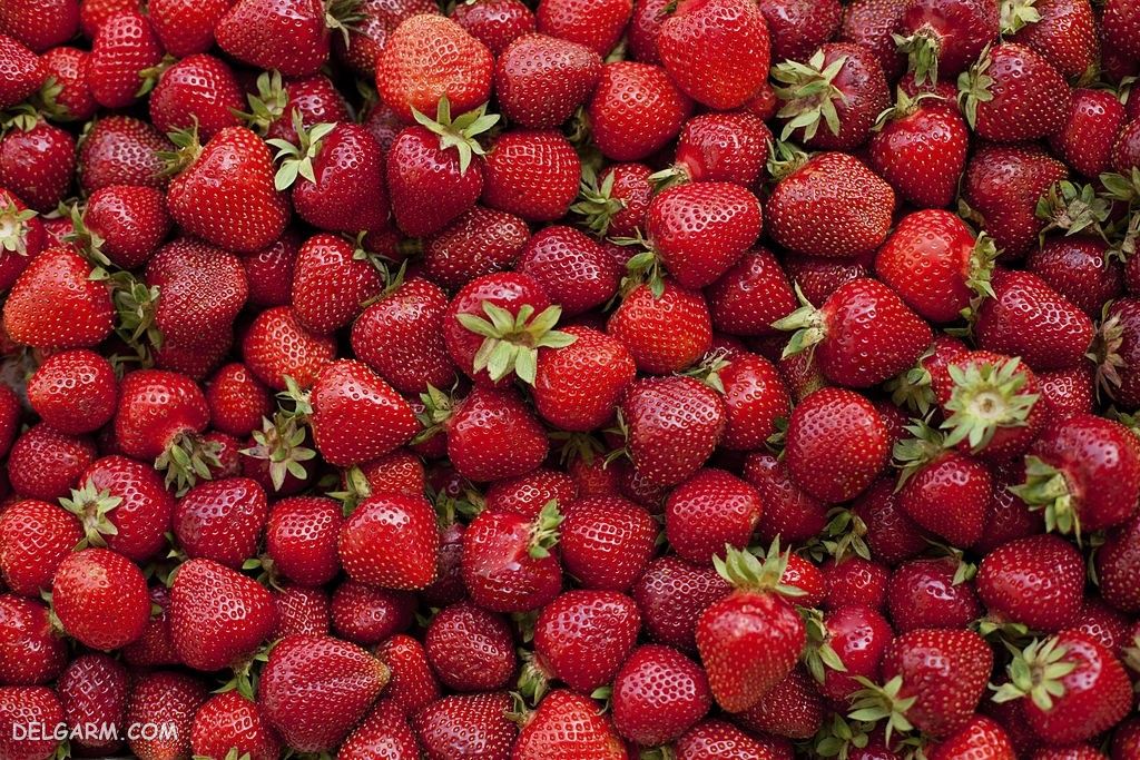  عکس توت فرنگی پینترستی