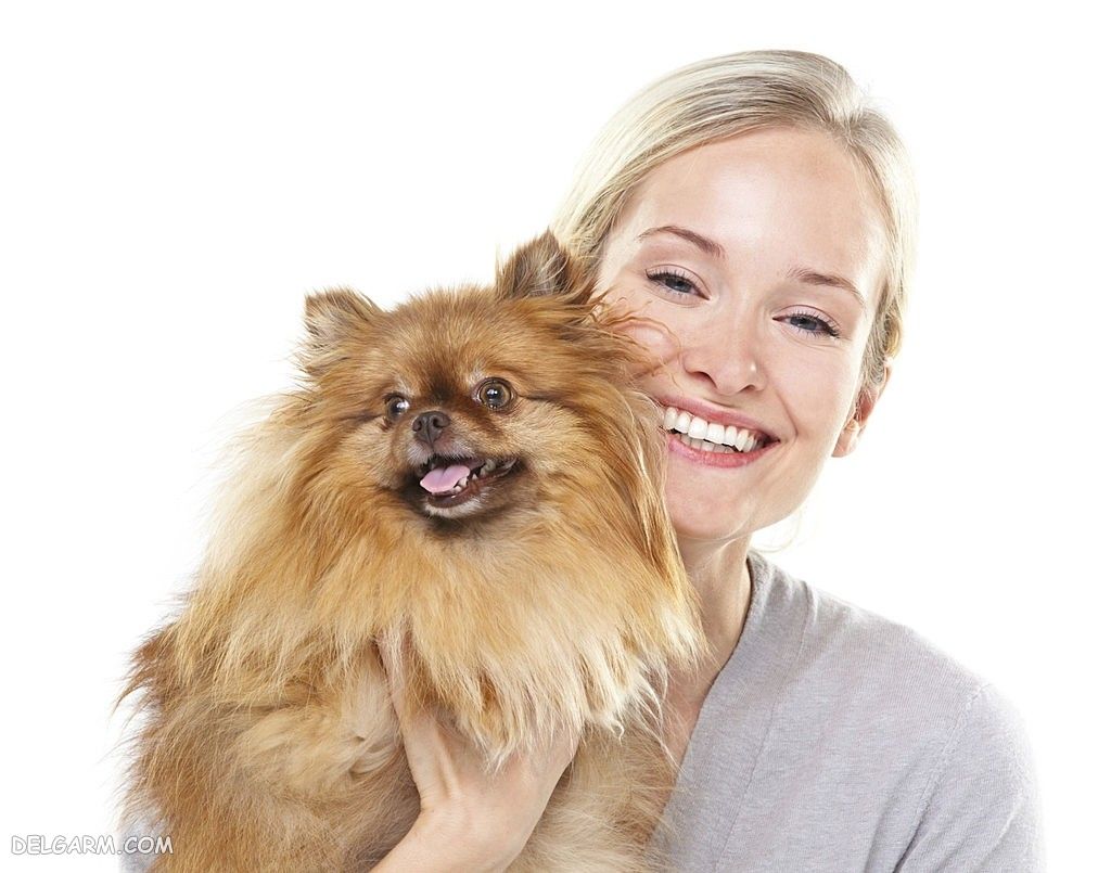 عکس خفن عکس بامزه ترین سگ ها