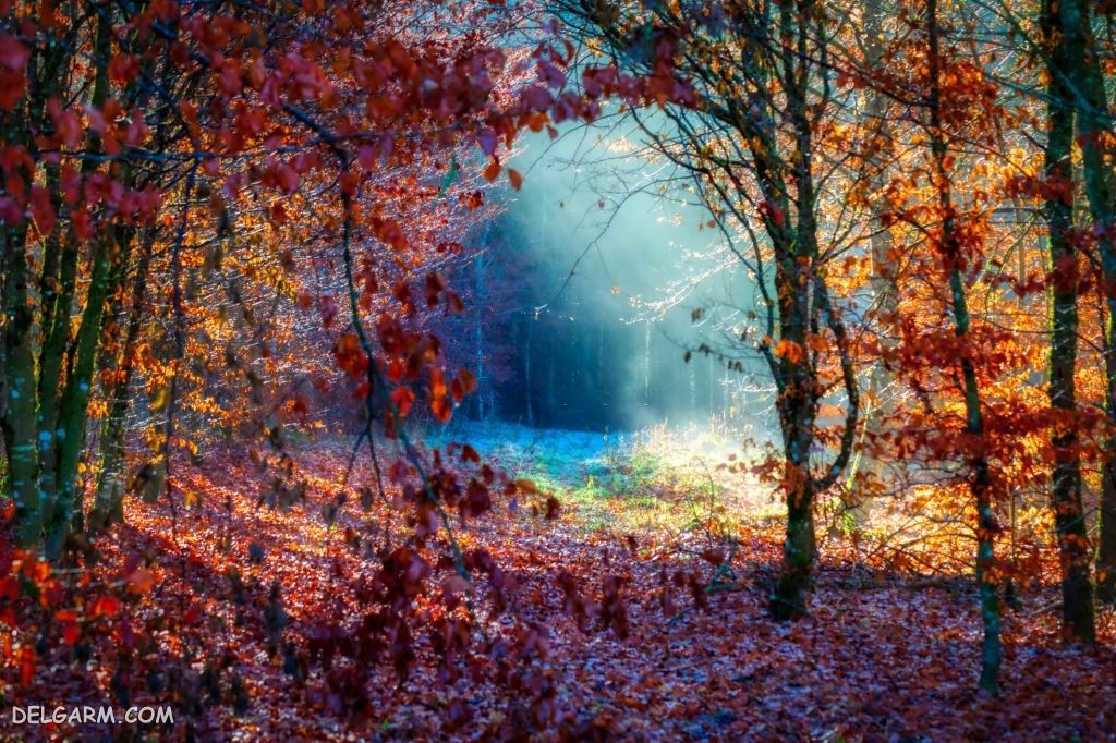 عکس پاییز غمگین