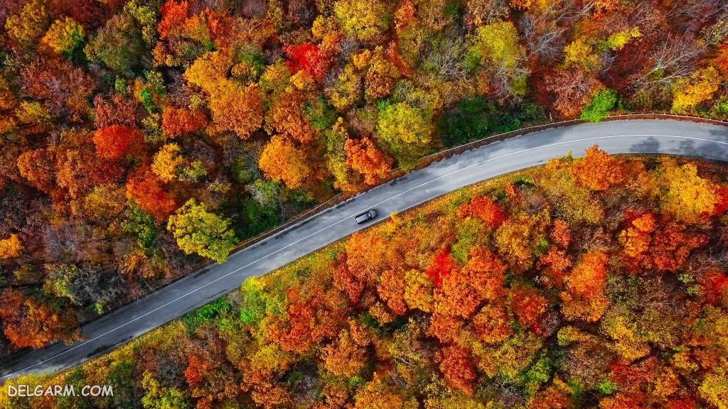 عکس پاییز غمگین